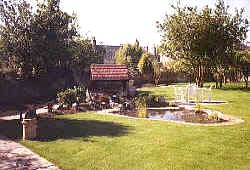 Landscaped Garden